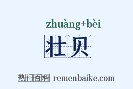 壮贝是什么意思的图片